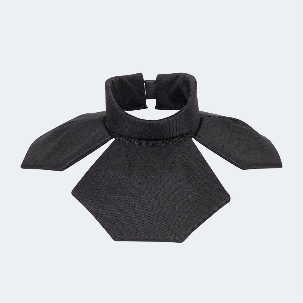 Extended gorget with pauldrons
